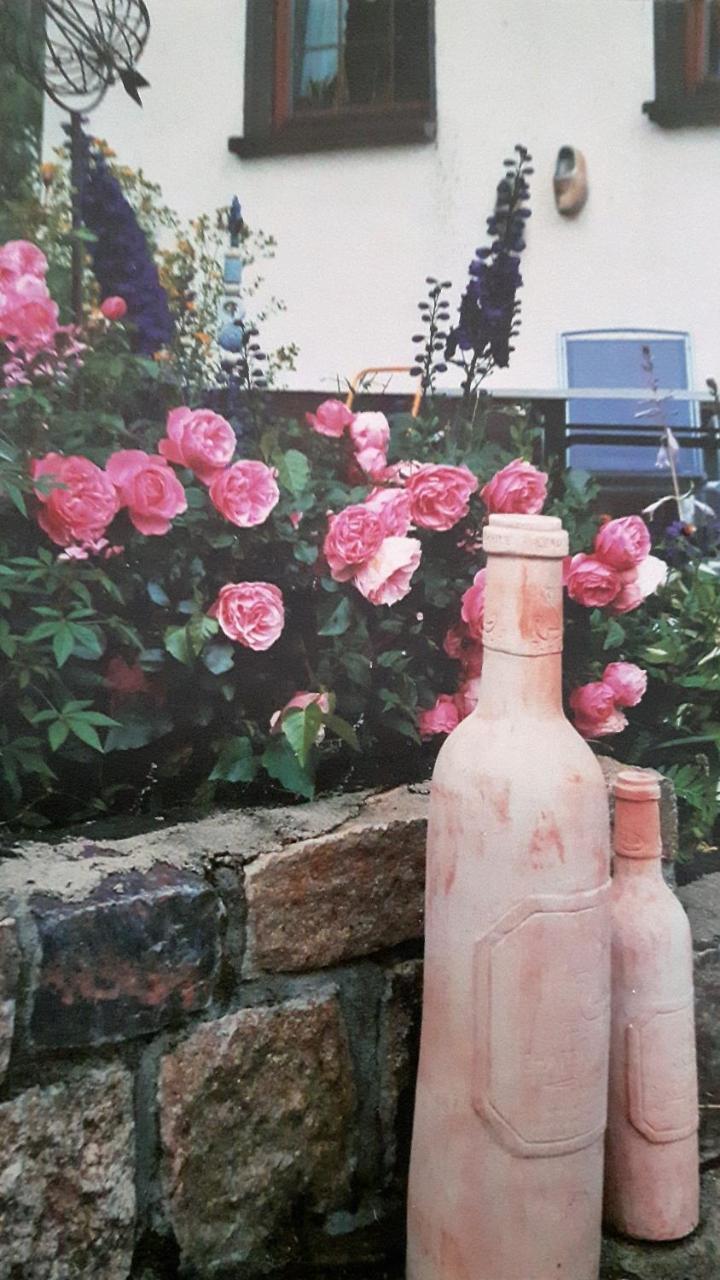 Landhotel "Lichte Aue" Lichtenau Stutzengrun Εξωτερικό φωτογραφία